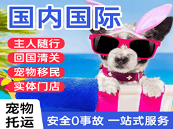 白莲航空运输国际宠物托运 【国